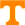 Tennessee Volunteers