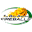 TuS Bad Aibling Fireballs