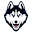 UConn Huskies