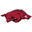 Arkansas Razorbacks