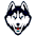 UConn Huskies