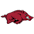 Arkansas Razorbacks