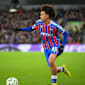 16-Jähriger verzückt Crystal Palace und schwärmt von Glasner
