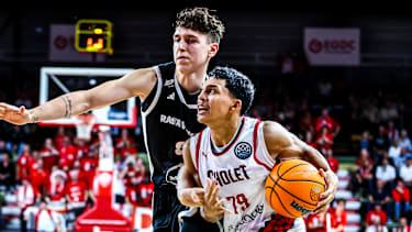 Dominik Dolic, Rasta Vechta, Cholet Basketball