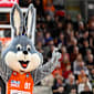 Auslosung für den EuroCup: BBL-Teams drohen Hammergruppen